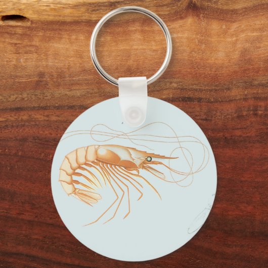 ヴィンテージエビ解剖学、海洋生物海動物 キーホルダー (裏面)
