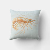 ヴィンテージエビ、海洋生物海動物解剖学 クッション (裏面)