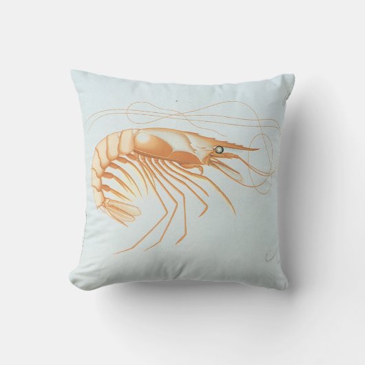 ヴィンテージエビ、海洋生物海動物解剖学 クッション (正面)