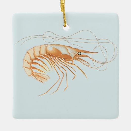 ヴィンテージエビ、海洋生物海動物解剖学 セラミックオーナメント (正面)