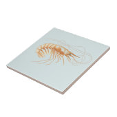 ヴィンテージエビ、海洋生物海動物解剖学 タイル (側面)