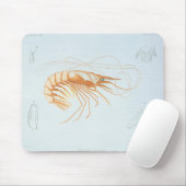 ヴィンテージエビ、海洋生物海動物解剖学 マウスパッド (マウス)