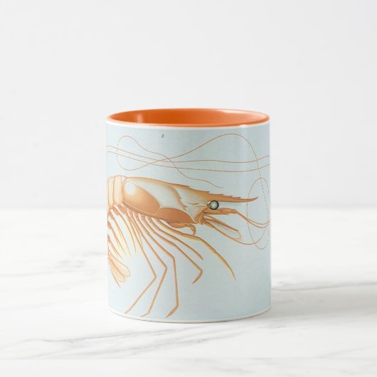 ヴィンテージエビ、海洋生物海動物解剖学 マグカップ (中央)