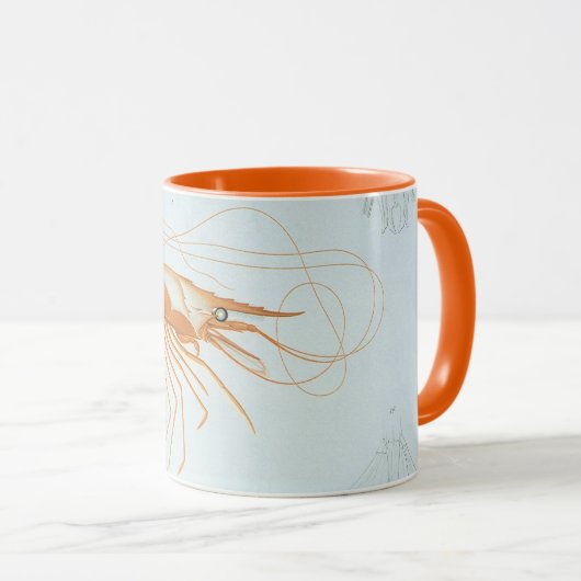 ヴィンテージエビ、海洋生物海動物解剖学 マグカップ (正面右)