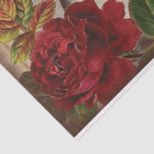 ヴィンテージエフェメラコラージシャビーシックデコップページ 薄葉紙 (詳細)