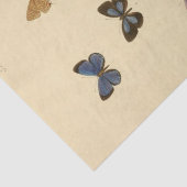 ヴィンテージエフェメラスクリプトバタフライデコップル 薄葉紙 (詳細)