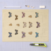 ヴィンテージエフェメラスクリプトバタフライデコップル 薄葉紙 (クラフト)