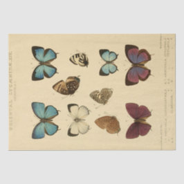 ヴィンテージエフェメラスクリプトブルーバタフライデクページ 薄葉紙