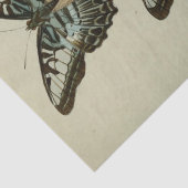 ヴィンテージエフェメラスクリプトブルーバタフライデクページ 薄葉紙 (詳細)