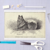 ヴィンテージエフェメラデコップクイーンズポメラニア犬犬 薄葉紙 (クラフト)