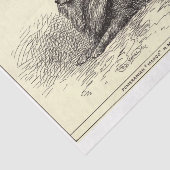 ヴィンテージエフェメラデコップクイーンズポメラニア犬犬 薄葉紙 (詳細)