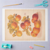 ヴィンテージエフエマデクページ秋のリンゴ 薄葉紙 (クラフト)