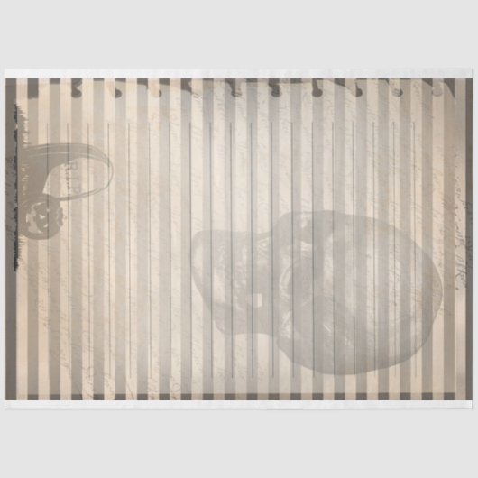 ヴィンテージエフエマハロウィーンスカル幽霊 薄葉紙 (正面)