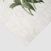 ヴィンテージエフエマラ植物鳥花デコページ 薄葉紙 (詳細)