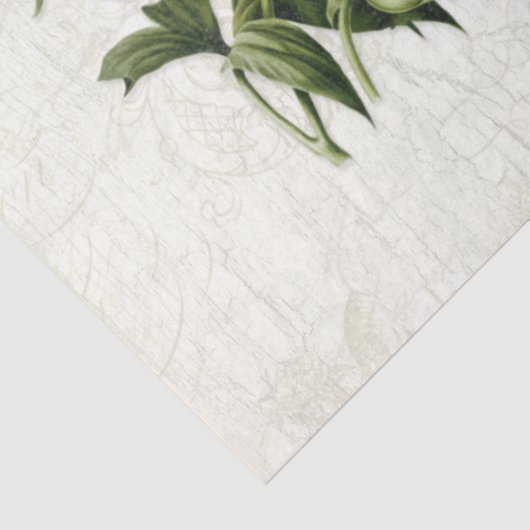 ヴィンテージエフエマラ植物鳥花デコページ 薄葉紙 (詳細)