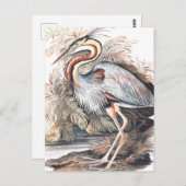 ヴィンテージエリザベスグウィリアムパープルヘロン ポストカード (正面/裏面)