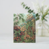 ヴィンテージエルンストハイケルモスポスター ポストカード (スタンド正面)