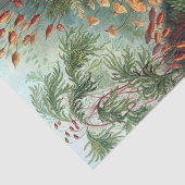 ヴィンテージエルンストハイケルモスポスター 薄葉紙 (詳細)