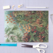 ヴィンテージエルンストハイケルモスポスター 薄葉紙 (クラフト)