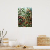 ヴィンテージエルンストハイケルモス ポスター (キッチン)