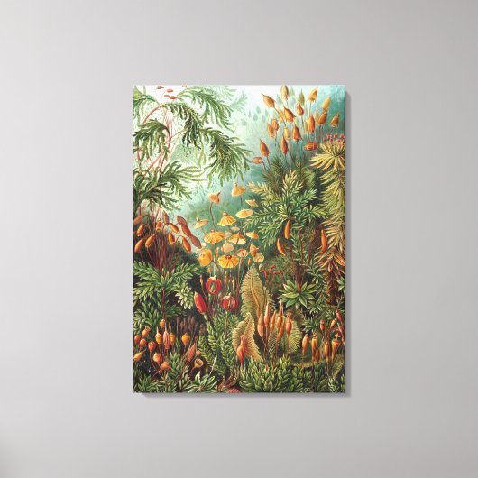 ヴィンテージエルンストハイケルモセズ キャンバスプリント (正面)