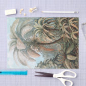 ヴィンテージエルンストヘイケルパームツリーズポスター 薄葉紙 (クラフト)