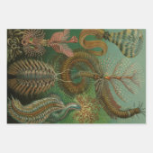 ヴィンテージエルンストヘイケルマリンライフデザイン ラッピングペーパーシート (正面)