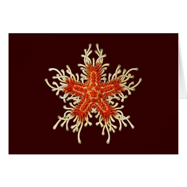 ヴィンテージエルンストヘイケル (正面横)