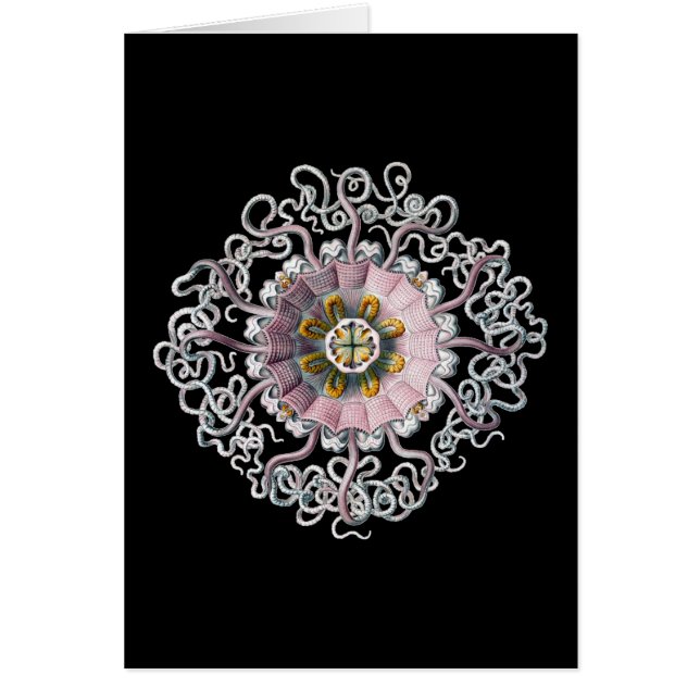 ヴィンテージエルンストヘイケル (正面)