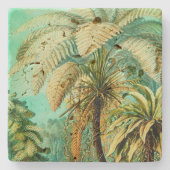 ヴィンテージエルンストヘッケルボタニカルパーム ストーンコースター (正面)