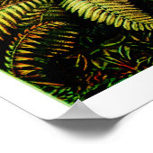 ヴィンテージエルンストヘッケルボタニカルパーム ポスター (角)