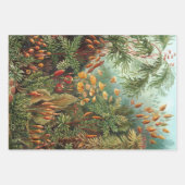 ヴィンテージエルンストヘッケルボタニーデザイン ラッピングペーパーシート (正面)