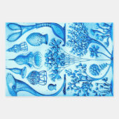 ヴィンテージエルンストヘッケルリカラーマリンライフ ラッピングペーパーシート (正面2)
