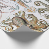 ヴィンテージエルンスト・ヘイケルのイカとタコのポスター ラッピングペーパー (角)