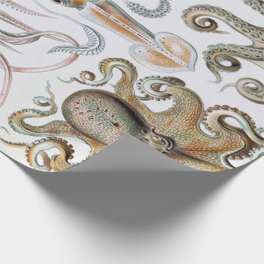 ヴィンテージエルンスト・ヘイケルのイカとタコのポスター ラッピングペーパー (角)