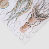 ヴィンテージエルンスト・ヘイケルのイカとタコのポスター 薄葉紙 (詳細)