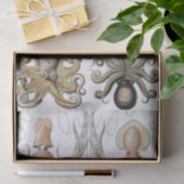 ヴィンテージエルンスト・ヘイケルのイカとタコのポスター 薄葉紙 (ギフト)