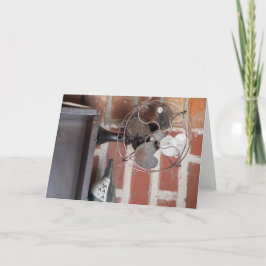 ヴィンテージエレガンスクラシック：ファンと陶器 カード