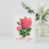 ヴィンテージエレガントアンナデディースバッハバラ愛あなた ポストカード (スタンド正面)