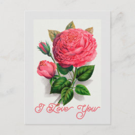 ヴィンテージエレガントアンナデディースバッハバラ愛あなた ポストカード
