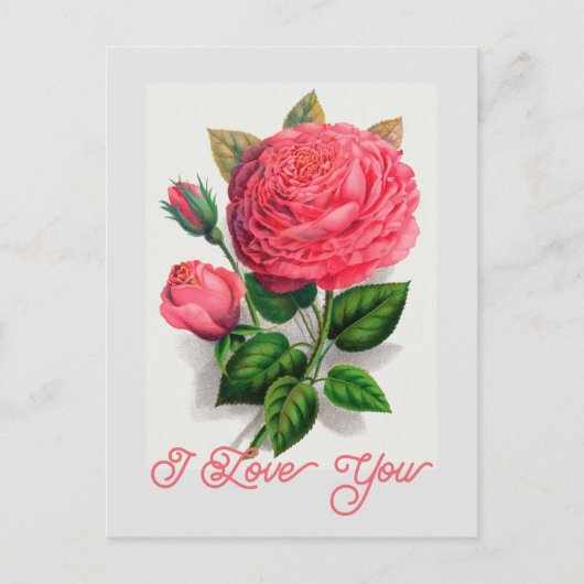 ヴィンテージエレガントアンナデディースバッハバラ愛あなた ポストカード (正面)