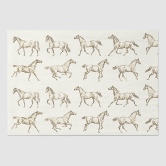ヴィンテージエレガントギャロピンウマズベージュトイレ 薄葉紙 (正面)