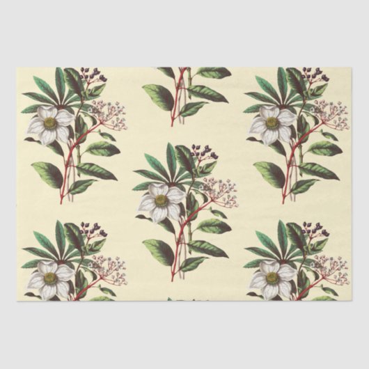 ヴィンテージエレガントクリスマスバラベージュ 薄葉紙 (正面)