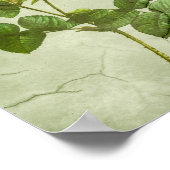 ヴィンテージエレガントシャビーなシックな牡丹 ポスター (角)