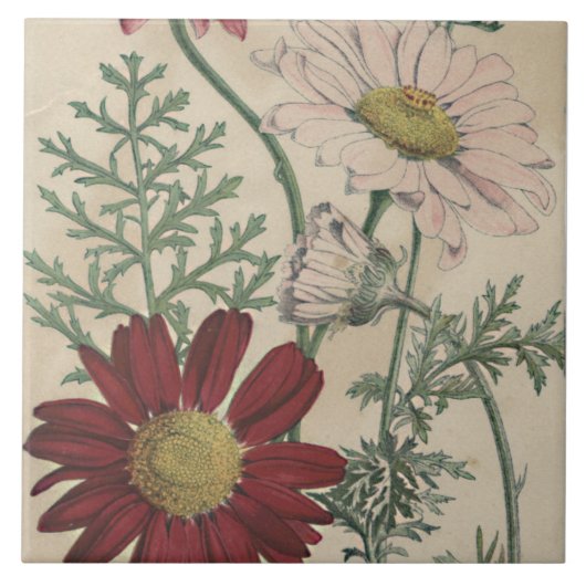 ヴィンテージエレガントデイジータイル タイル (正面)