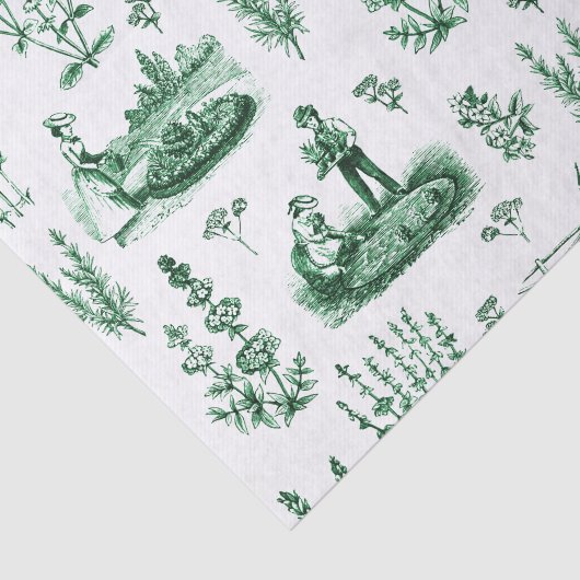 ヴィンテージエレガントハーバルガーデンセージ緑トワール 薄葉紙 (詳細)