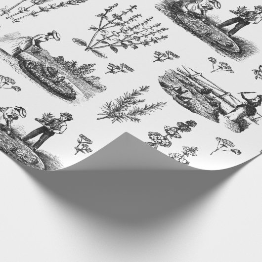 ヴィンテージエレガントハーバルガーデン白黒トワール ラッピングペーパー (角)