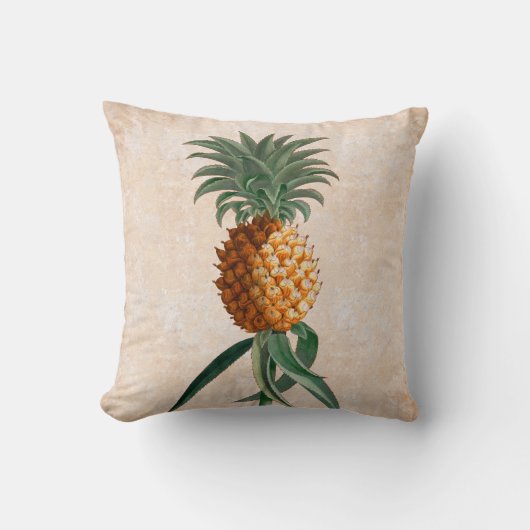 ヴィンテージエレガントパイナップル熱帯産 クッション (正面)