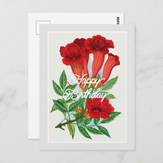 ヴィンテージエレガントビグノニアフラワーハッピーバースデー ポストカード (正面/裏面)