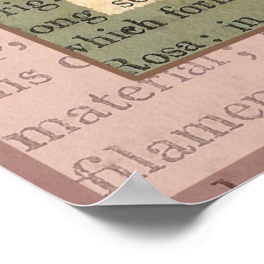 ヴィンテージエレガントピンクローズアンティークコラージュ ポスター (角)